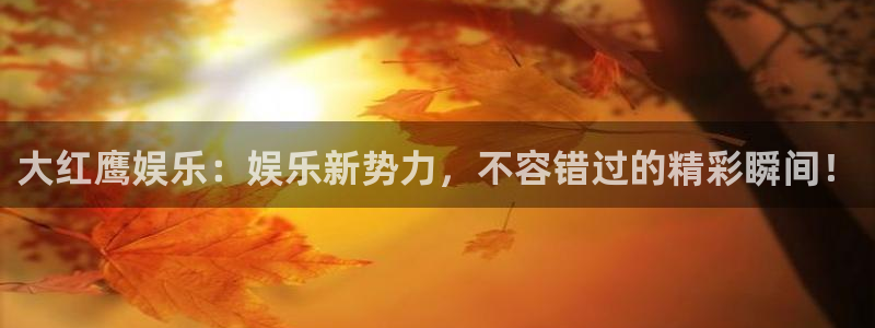 运达娱乐包怎么样：大红鹰娱乐：娱乐新势力，不容错过的精彩瞬间！