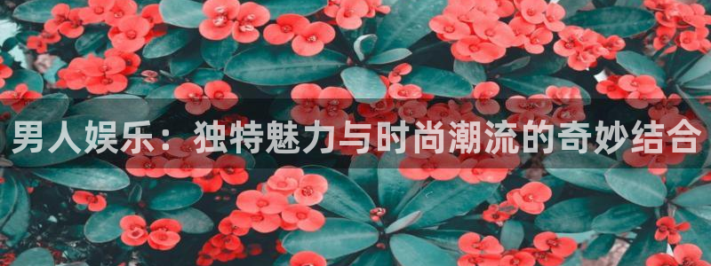 运达娱乐账号注册：男人娱乐：独特魅力与时尚潮流的奇妙结合