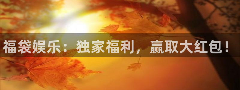 运达娱乐体育2官网入口：福袋娱乐：独家福利，赢取大红包！