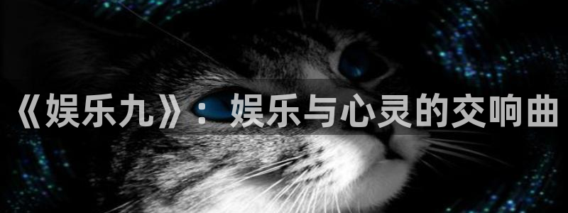 运达娱乐4平台：《娱乐九》：娱乐与心灵的交响曲