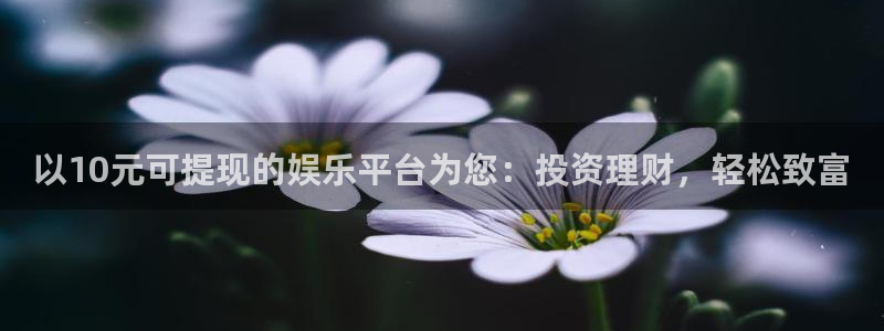运达娱乐平台：以10元可提现的娱乐平台为您：投资理财，轻松致富
