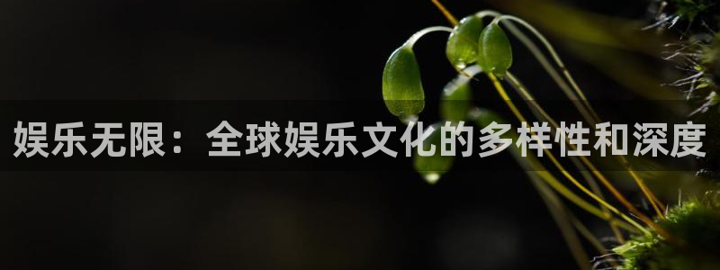 运达娱乐.ccm官网版：娱乐无限：全球娱乐文化的多样性和深度
