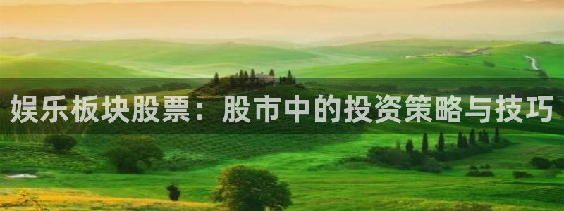 运达娱乐平台官方入口下载：娱乐板块股票：股市中的投资策略与技巧