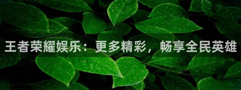 运达娱乐平台总代理：王者荣耀娱乐：更多精彩，畅享全民英雄