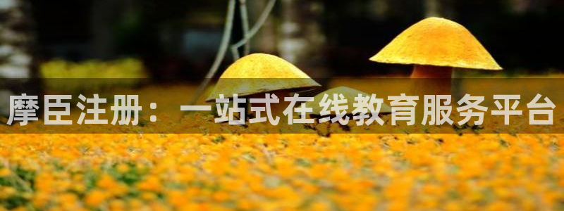 运达娱乐f凯捷注册：摩臣注册：一站式在线教育服务平台