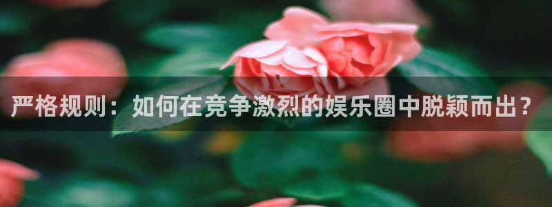 运达娱乐体育凯捷平台注册：严格规则：如何在竞争激烈的娱乐圈中脱颖而出？