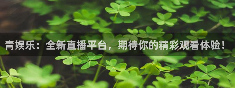 运达娱乐股份：青娱乐：全新直播平台，期待你的精彩观看体验！