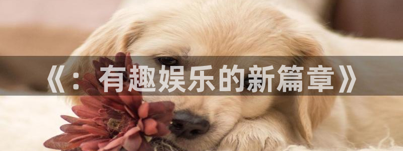 运达娱乐pg：《：有趣娱乐的新篇章》