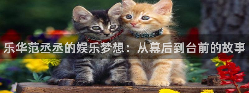 运达娱乐游app：乐华范丞丞的娱乐梦想：从幕后到台前的故事
