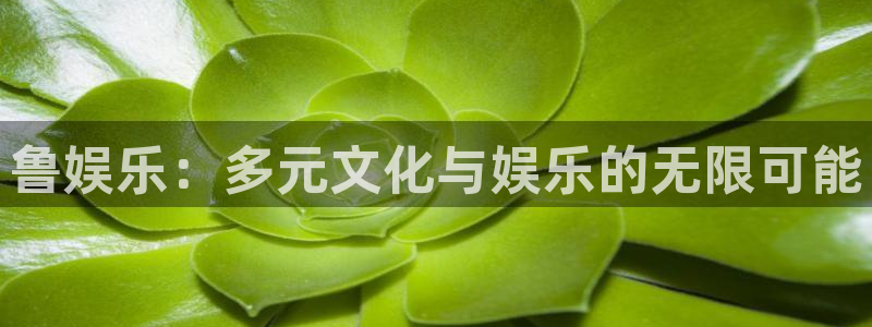 佛山市南海运达娱乐机电仪器有限公司：鲁娱乐：多元文化与娱乐的无限可能