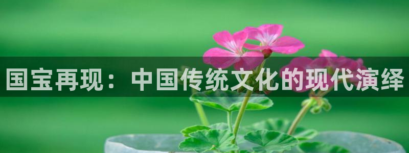 运达娱乐注册入口与教程：国宝再现：中国传统文化的现代演绎