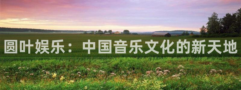 运达娱乐游戏试玩：圆叶娱乐：中国音乐文化的新天地