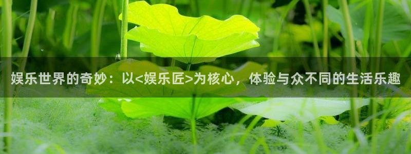 运达娱乐登录注册：娱乐世界的奇妙：以<娱乐匠>为核心，体验与众不同的生活乐趣