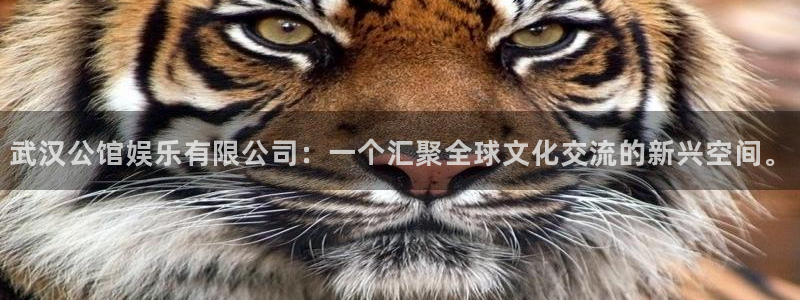 运达娱乐5：武汉公馆娱乐有限公司：一个汇聚全球文化交流的新兴空间。