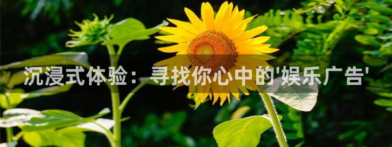 运达娱乐.ccm苹果版：沉浸式体验：寻找你心中的\'娱乐广告\'