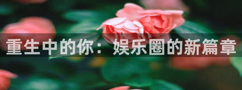 运达娱乐4平台注册：重生中的你：娱乐圈的新篇章