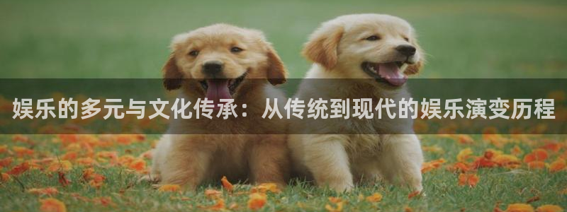 运达娱乐凯捷开号链接：娱乐的多元与文化传承：从传统到现代的娱乐演变历程