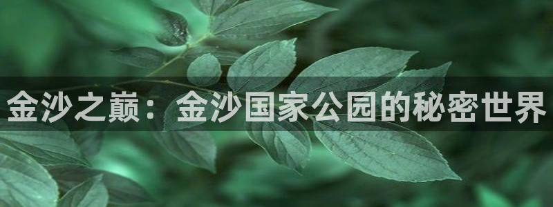 运达娱乐是大平台吗：金沙之巅：金沙国家公园的秘密世界