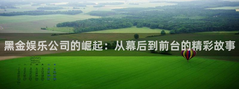 运达娱乐网站平台：黑金娱乐公司的崛起：从幕后到前台的精彩故事