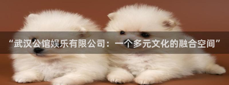 运达娱乐体育f开号：“武汉公馆娱乐有限公司：一个多元文化的融合空间”