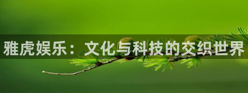 运达娱乐软件：雅虎娱乐：文化与科技的交织世界