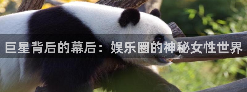 运达娱乐官方网站
