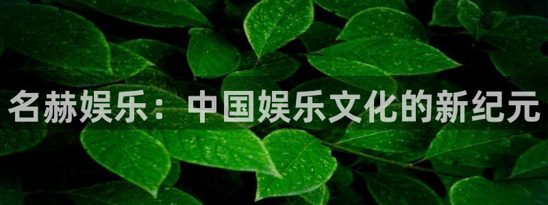 运达娱乐注册网站：名赫娱乐：中国娱乐文化的新纪元