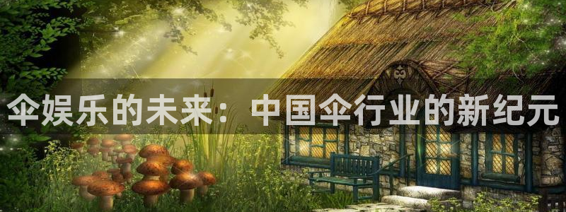 运达娱乐登陆：伞娱乐的未来：中国伞行业的新纪元