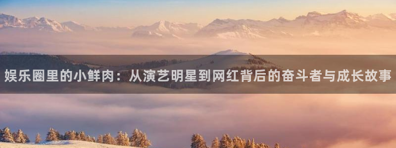 运达娱乐app：娱乐圈里的小鲜肉：从演艺明星到网红背后的奋斗者与成长故事