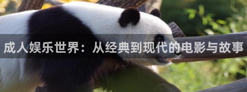 运达娱乐网页版登：成人娱乐世界：从经典到现代的电影与故事