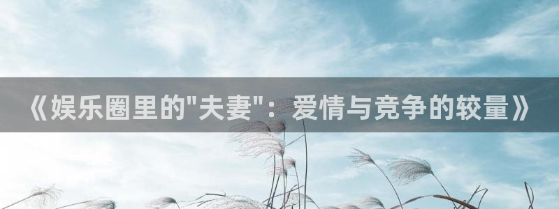 运达娱乐体育凯捷平台招商：《娱乐圈里的\