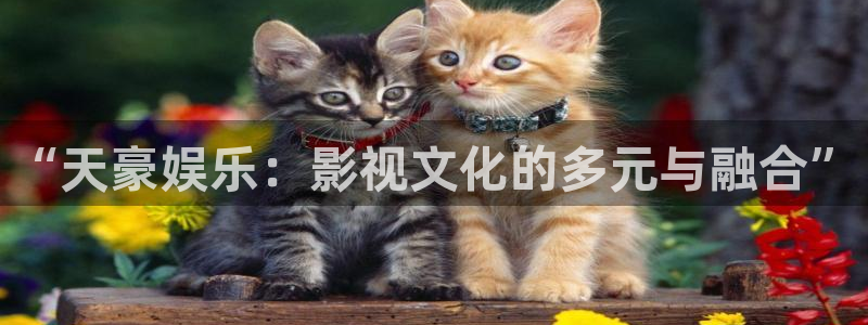 运达娱乐注册：“天豪娱乐：影视文化的多元与融合”